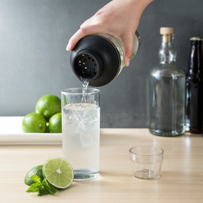 Stainless Steel and Clear All-in-One Cocktail Shaker Set