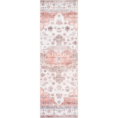 Nuloom Banks Vintage Pet Friendly Machine Washable Area Rug