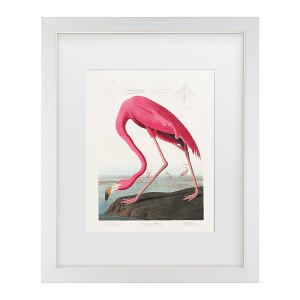 Trademark Fine Art - Pictufy  Pink Flamingo From Birds of America 1827 Matted Framed Art - 1 of 4