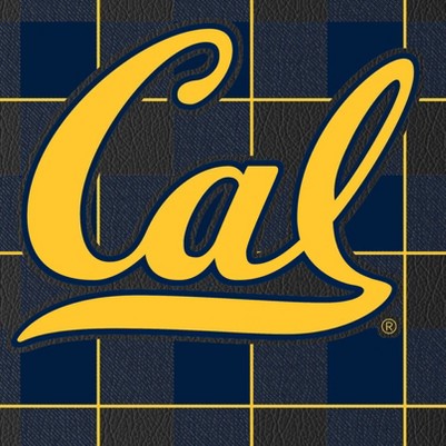 california golden bears