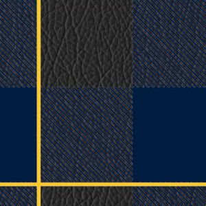 california golden bears