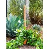 Envelor Coco Moss Poles for Climbing Plants Stackable Plant Support - 3 of 4