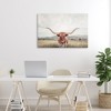 Stupell Industries Longhorn Portrait Open Meadow Canvas Art - 3 of 4