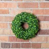 Vickerman 10" Artificial Mini Button Leaf Wreath : Indoor Polyester Boxwood, Wall Decor, Unlit - 2 of 2