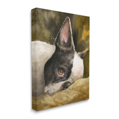 30 x 30 Blue Stupell Industries Boston Terrier Dog Portrait Over Geometric Curved Pattern Wall Art