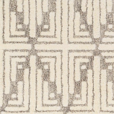 Livi Ivory and Gray Plush Polyester Area Rug 5'3" x 7'
