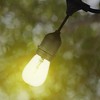 Globe 48 Feet  S14 Dublin LED Vintage 80 Lumens String 12 Bulb Light Set, Includes Plug In, Black Cord and Bulbs for Indoor and Outdoor Use - 4 of 4