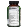 Irwin Naturals Global Wellness Immuno-Shield with Sambucus Elderberry, 60 Liquid Soft-Gels - 2 of 2