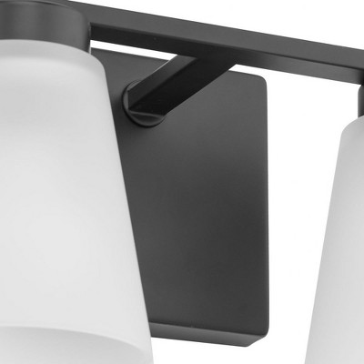 Matte Black Steel 2-Light Vanity Fixture with Etched Glass Shades