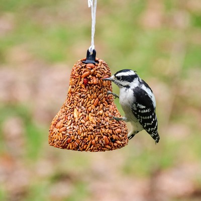 Home & Garden 4.5" Flaming Hot Feast Birdseed Bell Squirrels Defeat Mr Bird  -  Bird And Wildlife Food