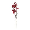 Melrose Berry Twig Branch (Set of 12) - image 2 of 3