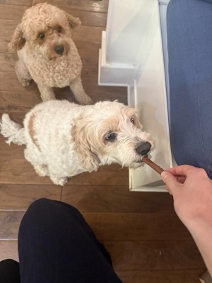 Guest review image 2 of 2, zoom in