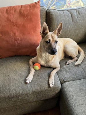 Guest review image 1 of 1, zoom in