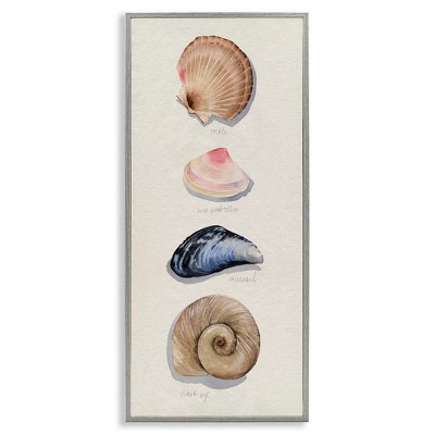 Stupell Industries Traditional Nautical Sea Shells, 10" x 24"
