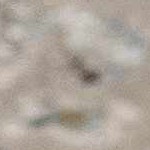 gray, taupe, dustysage, lightbeige, mediumgray