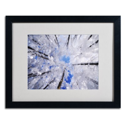 Trademark Fine Art -Philippe Sainte-Laudy 'Carousel' Matted Framed Art