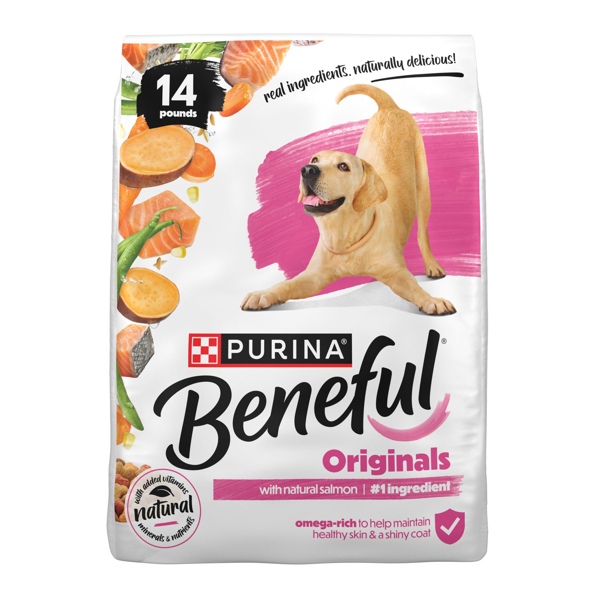 Purina Beneful Originals Real Salmon Flavor Dry Dog Food