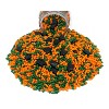 Mystic Sprinkles Graduation Day! Orange & Green Sprinkle Mix 3.8oz - 3 of 4