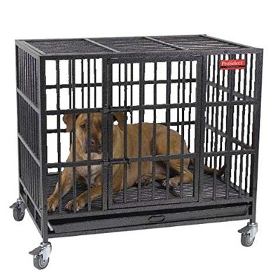 metal kennel