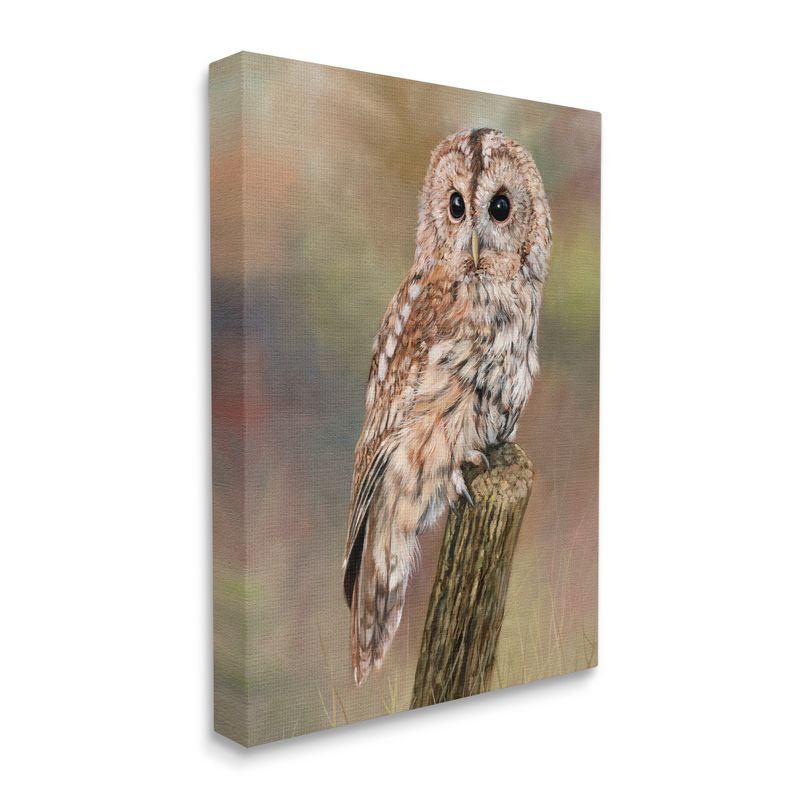 Stupell Industries Brown Tawny Owl Perched Gallery Wrapped Canvas Wall Art, 4 of 5
