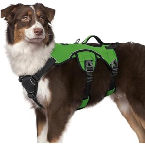 rabbitgoo Escape Proof Dog Harness, Soft Padded Full Body Pet Harness, Reflective Adjustable No Pull Hiking Training, M, Green - 1 of 1