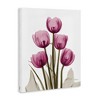 Stupell Industries Pink X-Ray Tulips, 16" x 20" - 3 of 4