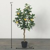 Sullivans Artificial 41" Lemon Tree, Green - 4 of 4