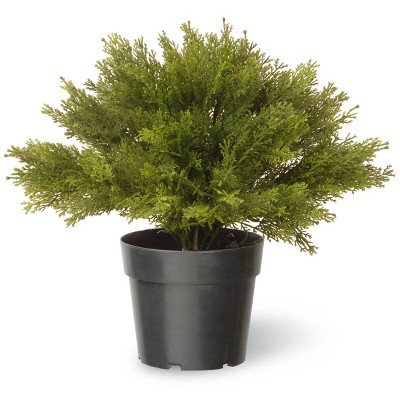 National Tree Company 15" Globe Cedar Artificial Tree: Faux Polyethylene Plant, Indoor/Outdoor Decor with Pot