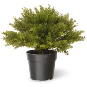 National Tree Company 15" Globe Cedar Artificial Tree: Faux Polyethylene Plant, Indoor/Outdoor Decor with Pot - 1 of 3