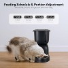 Automatic Cat Feeder with Water Dispenser, Dual Power Food Timer with Portion Control, for Cats and Small Pets - 2 of 4