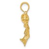 Black Bow Jewelry 14k Yellow Gold Bass Fish Pendant, 19mm (3/4 Inch) - 2 of 4