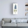 Trademark Fine Art -Anne Tavoletti 'Texas Bluebonnet Iv' Canvas Art - 2 of 4