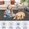 Braided Print Area Rugs for Living Room Non Slip Backing Farmhouse Accent Rug Non-Shedding Woven Carpet Foldable Low Pile Ultra Soft Indoor Rug - 4 of 4
