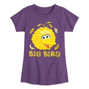Girls' - Sesame Street - Big Bird Face Fitted Short Sleeve Graphic T-Shirt - 1 of 4