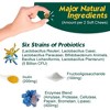 Advanced Probiotic for Dogs, Supports Digestive, Immune & Gut Health, 6 Strains of Probiotics, Inulin, Enzyme Blend, 90 ct - 3 of 4