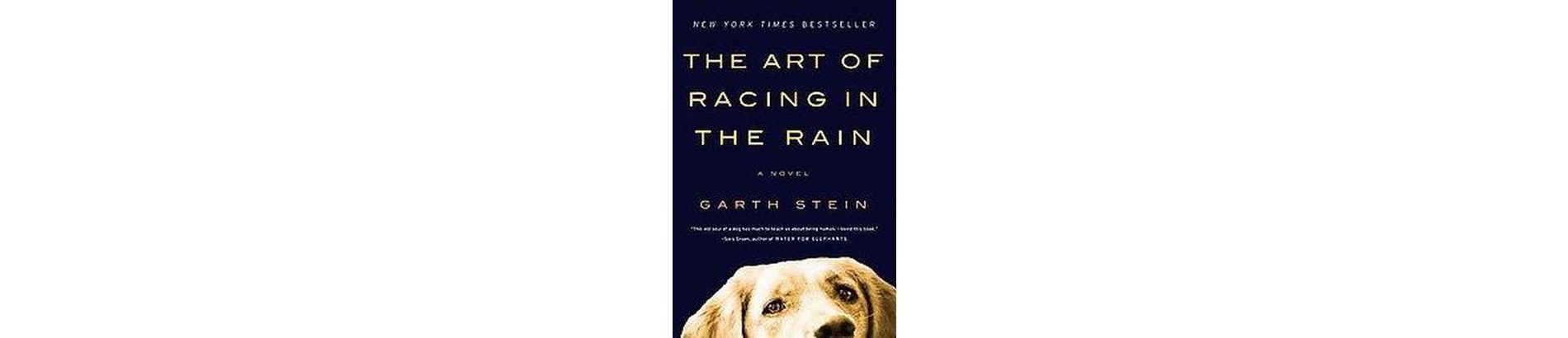 The Art of Racing in the Rain (Reprint) (Paperback) by Garth Stein