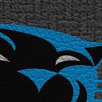 carolina panthers