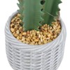 Artificial Cactus Plant in Pot, Realistic Euphorbia Acrurensis, Easy Care Faux Cactus for Home, Office, Housewarming Decor - 4 of 4