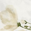 Split P Austen Floral Napkin Set of 4 - 3 of 4