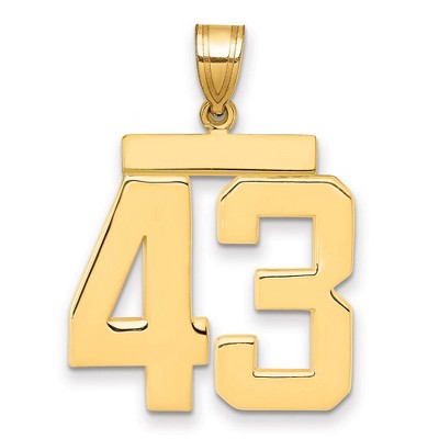 Black Bow Jewelry 14k Yellow Gold, Athletic Collection, Large Polished Number 43 Pendant