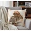 Faux Fur Bunny Accent Pillow Cover – 18x18 inch by Manual Woodworkers and Weavers - 3 of 3