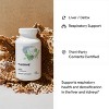 THORNE - NAC - N-Acetylcysteine - 500mg - Supports Respiratory Health and Immune Function*; Promotes Liver and Kidney Detox - 180 Capsules - 4 of 4