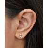 Disney Beauty and the Beast Sterling Silver Rose Stud Earrings, Two Tone - 2 of 4