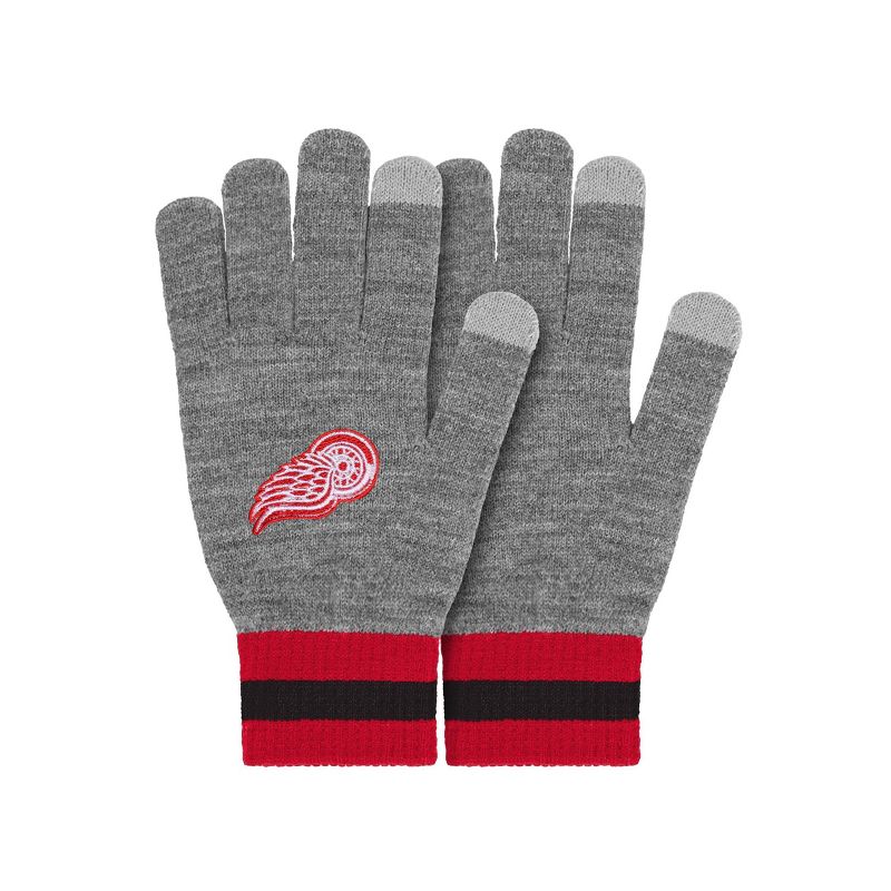 NHL Detroit Red Wings Gray Big Logo Glove, 1 of 5