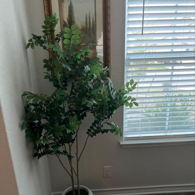 Guest review image 1 of 2, zoom in