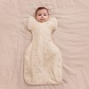 Love To Dream Baby Swaddle Up Transition Bag - Warm Cotton 2.5 TOG Sleeveless Wrap - Bees - 2 of 4