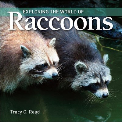Exploring the World of Raccoons - by  Tracy C Read (Paperback)