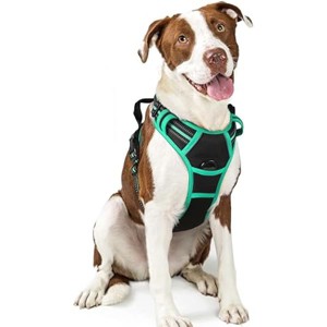 rabbitgoo Dog Harness No Pull with 2 Leash Clips, Control Handle for Large Dogs, Black & Turquoise, L - 1 of 1