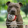 Pacific Pups Giant Tennis Balls for Dogs - 2 pack - Giant Dog Tennis Balls for Large Dogs - 3 of 4