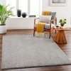 Mark & Day Richlawn Washable Woven Indoor Area Rugs - 2 of 4